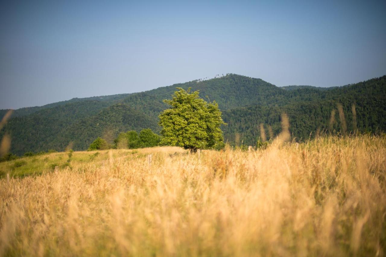 B&B Mad Mountain Robidisce エクステリア 写真